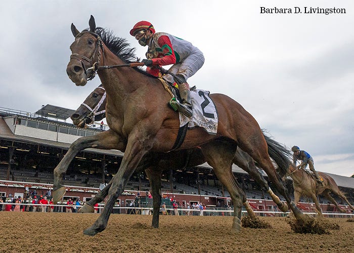 Country Grammer Daily Racing Form